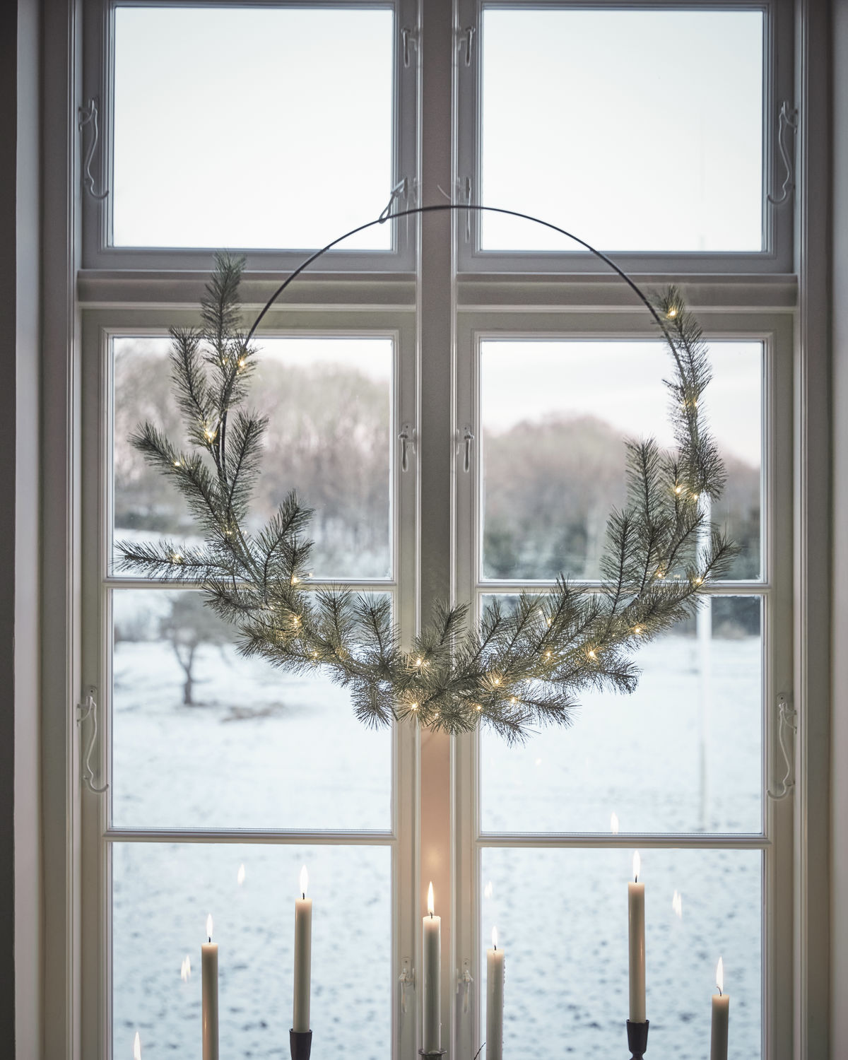 Havukranssi puolikas 2 kokoa