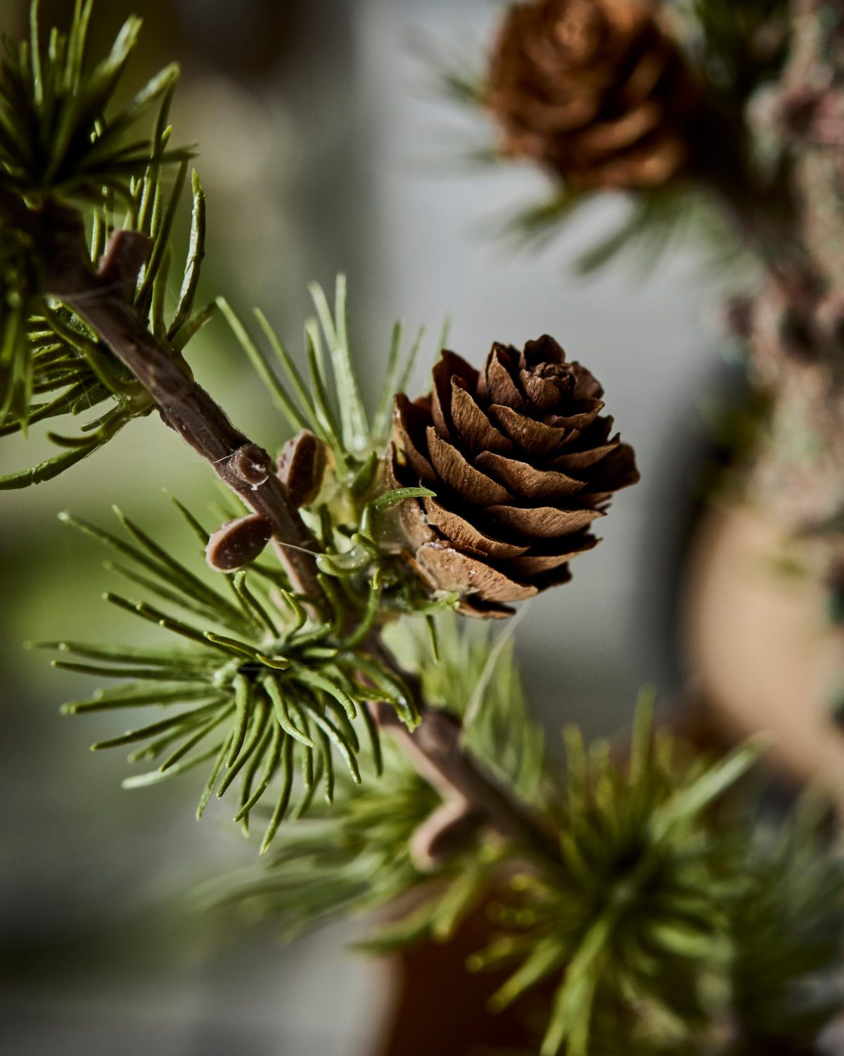 Joulukuusi ruukussa 40 cm