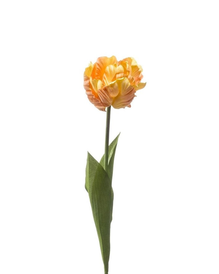 Tulip Paris, Yellow/Peach 66cm