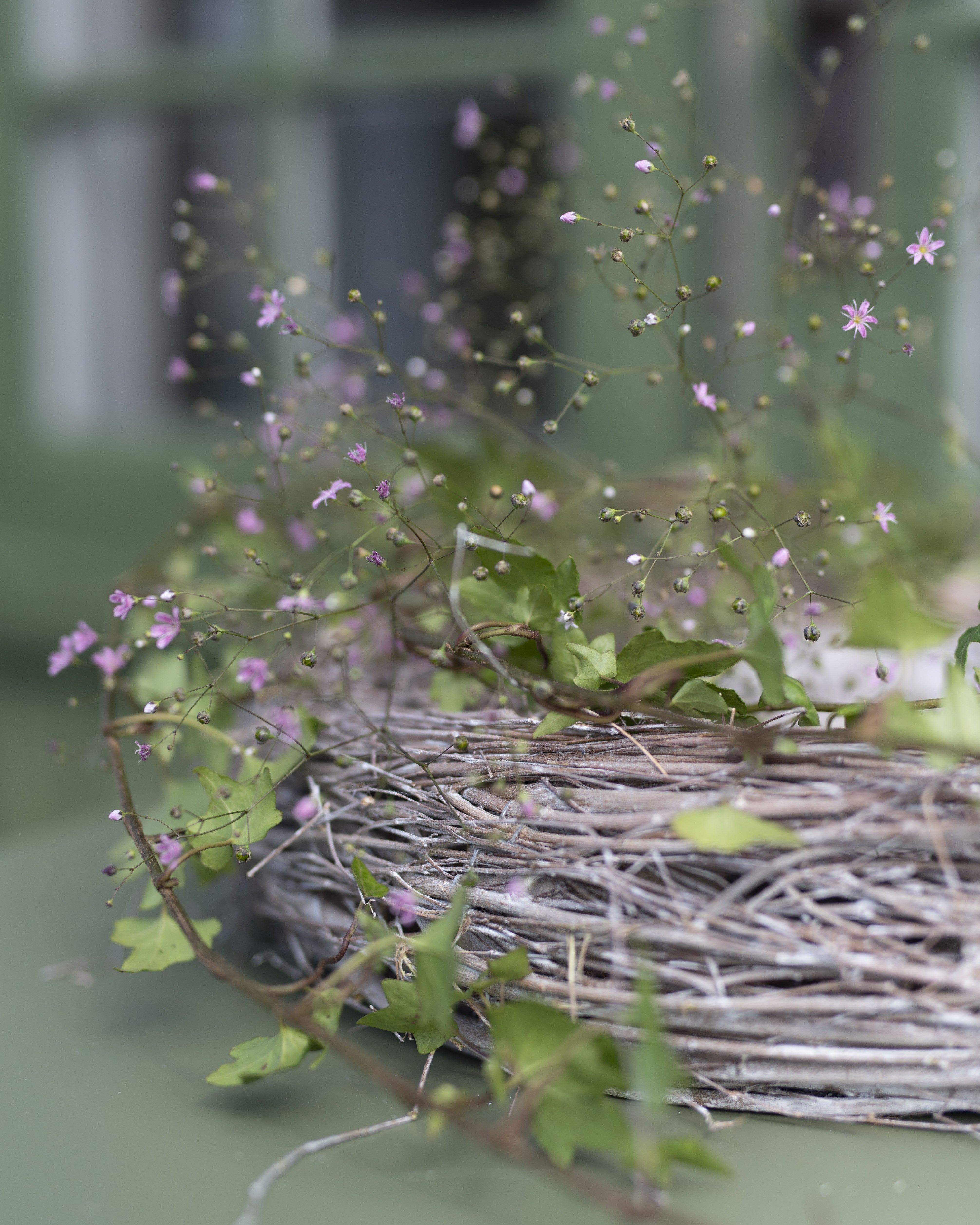 Oksakranssi, 2 kokoa