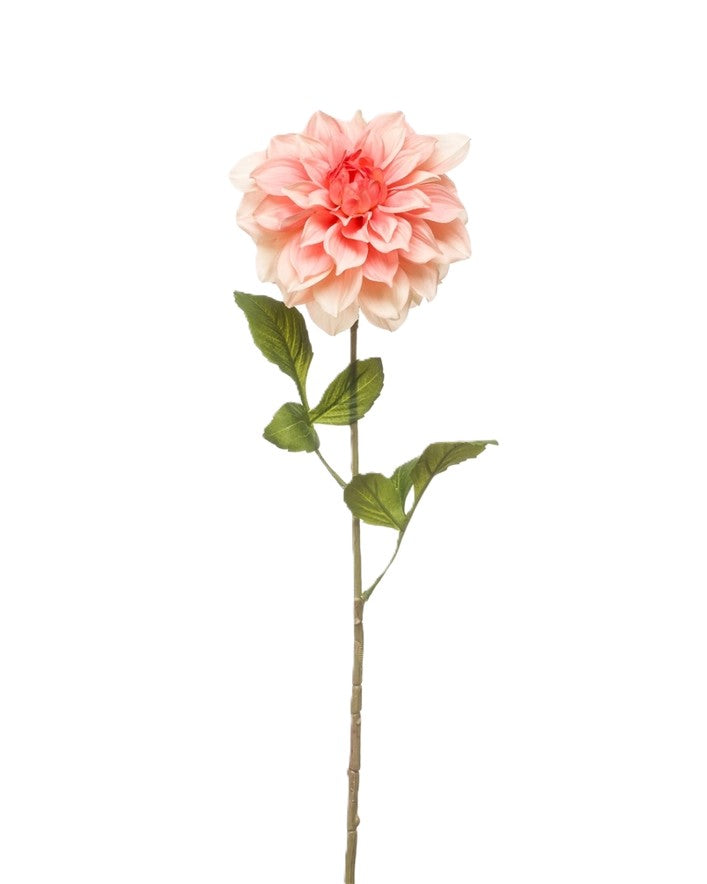 Dahlia, Peach 72cm