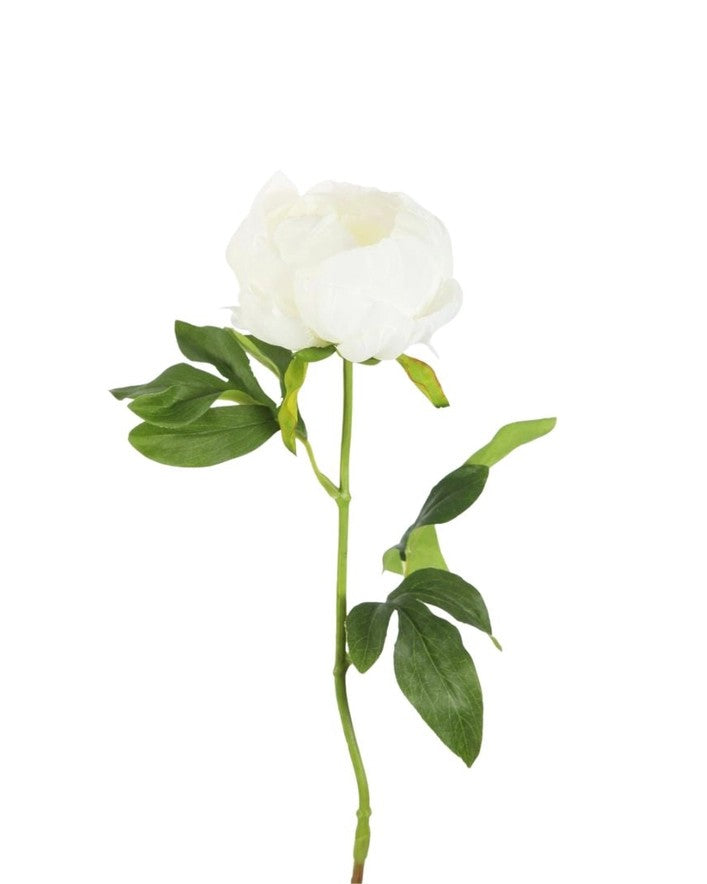 Peony, White 57cm