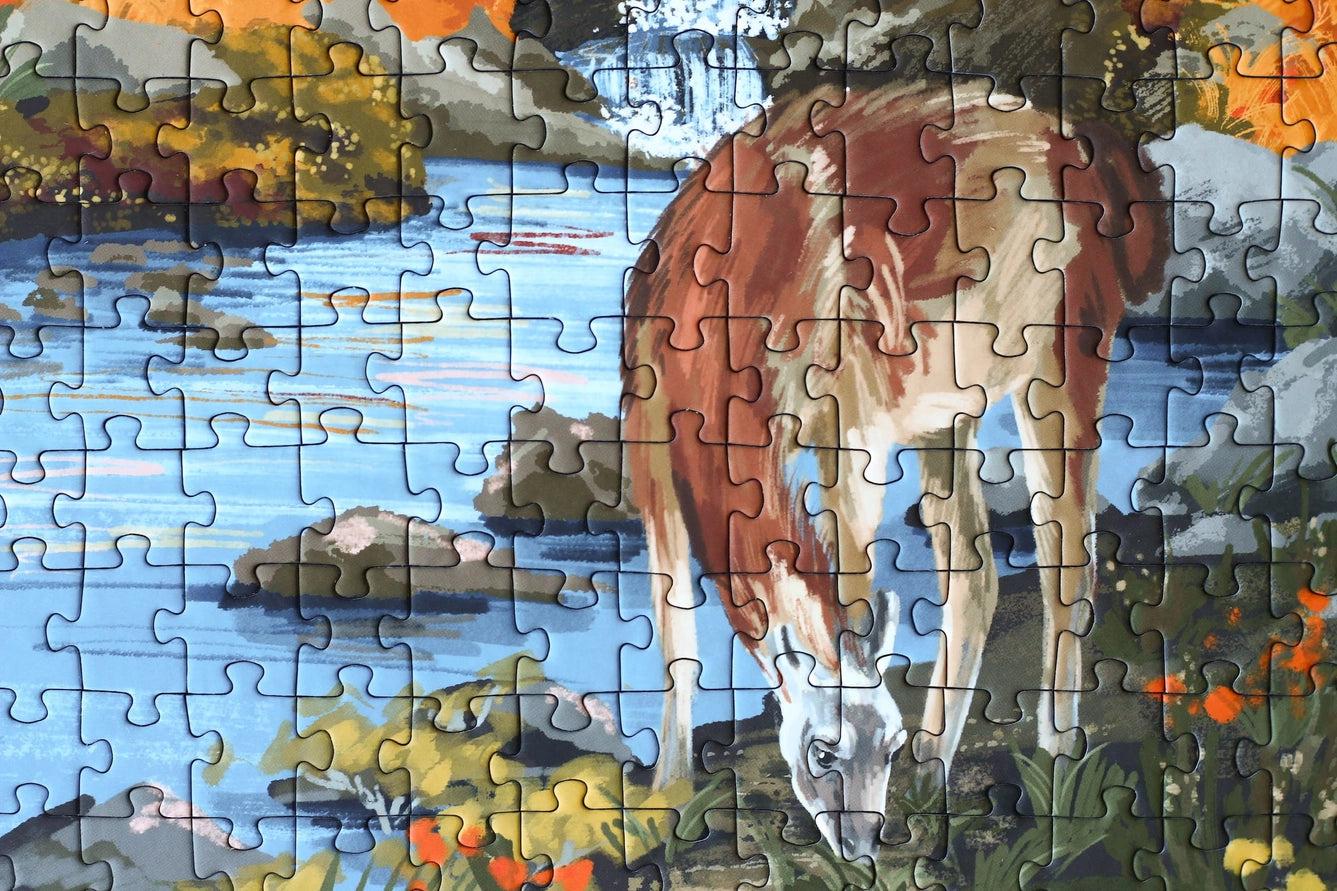 Patagonia-palapeli, 500 palaa
